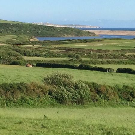 Tidmoor Farm Vegetarian B&B Chickerell Bagian luar foto